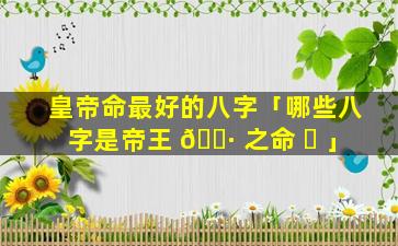 皇帝命最好的八字「哪些八字是帝王 🌷 之命 ☘ 」
